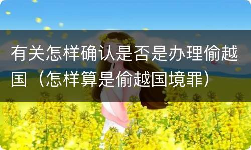 有关怎样确认是否是办理偷越国（怎样算是偷越国境罪）