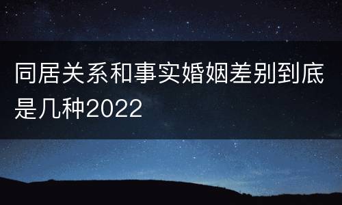同居关系和事实婚姻差别到底是几种2022
