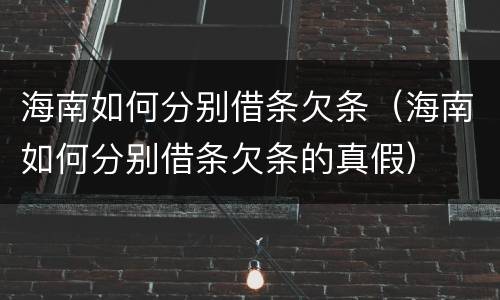 海南如何分别借条欠条（海南如何分别借条欠条的真假）
