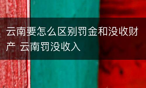 云南要怎么区别罚金和没收财产 云南罚没收入