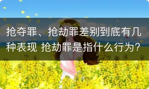 抢夺罪、抢劫罪差别到底有几种表现 抢劫罪是指什么行为?
