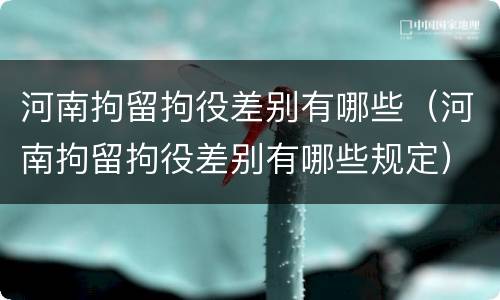 河南拘留拘役差别有哪些（河南拘留拘役差别有哪些规定）