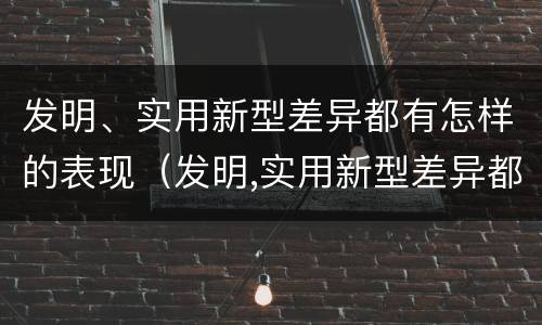 发明、实用新型差异都有怎样的表现（发明,实用新型差异都有怎样的表现呢）