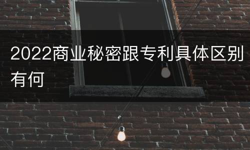 2022商业秘密跟专利具体区别有何