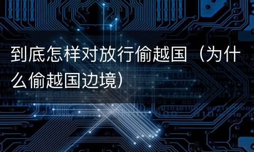 到底怎样对放行偷越国（为什么偷越国边境）