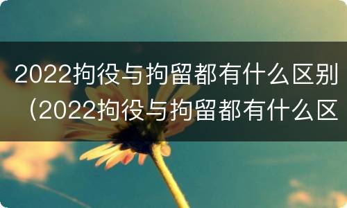 2022拘役与拘留都有什么区别（2022拘役与拘留都有什么区别呢）