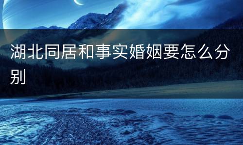 湖北同居和事实婚姻要怎么分别