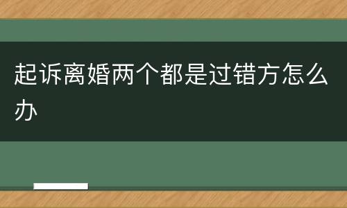 起诉离婚两个都是过错方怎么办