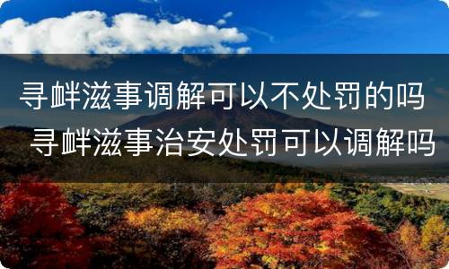 寻衅滋事调解可以不处罚的吗 寻衅滋事治安处罚可以调解吗