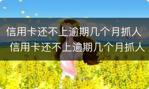 信用卡还不上逾期几个月抓人 信用卡还不上逾期几个月抓人有影响吗