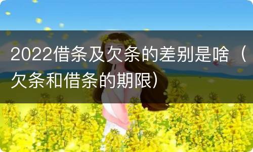 2022借条及欠条的差别是啥（欠条和借条的期限）