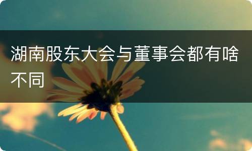 湖南股东大会与董事会都有啥不同