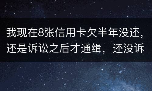 我现在8张信用卡欠半年没还，还是诉讼之后才通缉，还没诉讼