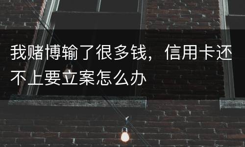 我赌博输了很多钱，信用卡还不上要立案怎么办