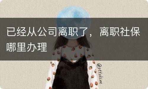 已经从公司离职了，离职社保哪里办理