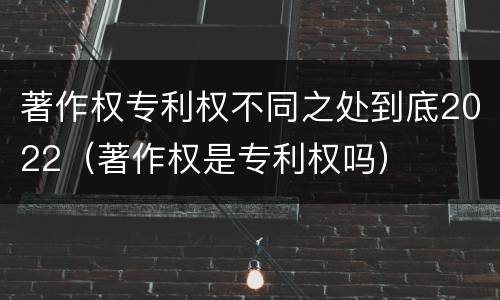 著作权专利权不同之处到底2022（著作权是专利权吗）