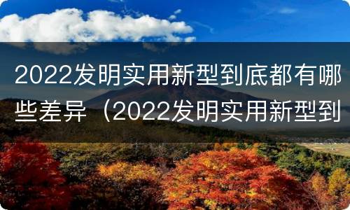 2022发明实用新型到底都有哪些差异(2022发明实用新型到底都有哪些差异性呢)