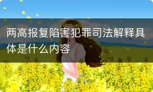 两高报复陷害犯罪司法解释具体是什么内容