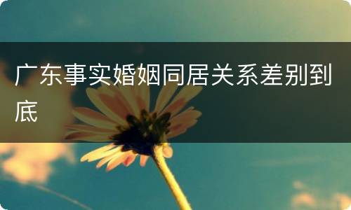 广东事实婚姻同居关系差别到底