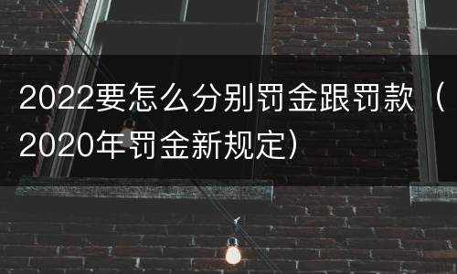 2022要怎么分别罚金跟罚款（2020年罚金新规定）