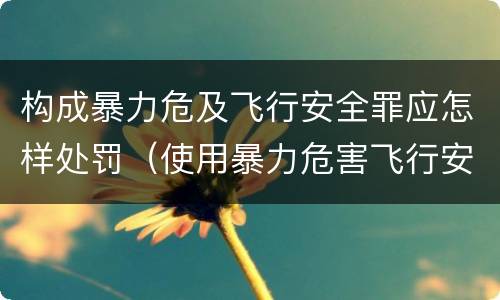 构成暴力危及飞行安全罪应怎样处罚（使用暴力危害飞行安全罪的主要特征）