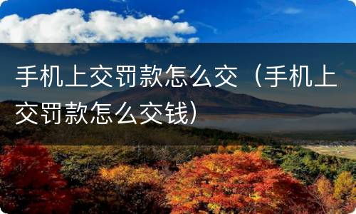 手机上交罚款怎么交（手机上交罚款怎么交钱）
