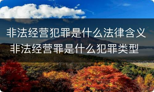 非法经营犯罪是什么法律含义 非法经营罪是什么犯罪类型