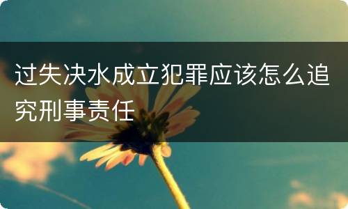 过失决水成立犯罪应该怎么追究刑事责任