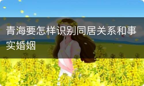 青海要怎样识别同居关系和事实婚姻