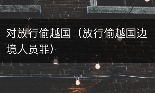 对放行偷越国（放行偷越国边境人员罪）