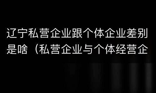 辽宁私营企业跟个体企业差别是啥（私营企业与个体经营企业的区别）