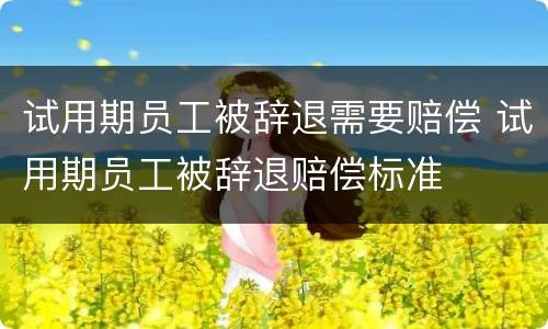 试用期员工被辞退需要赔偿 试用期员工被辞退赔偿标准