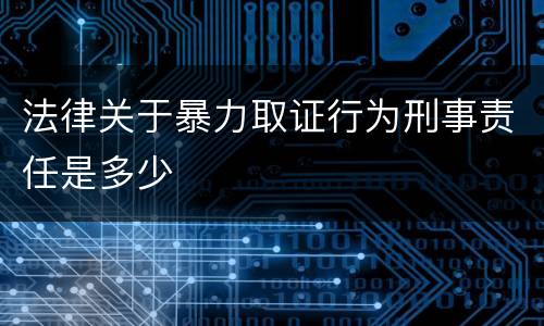 法律关于暴力取证行为刑事责任是多少