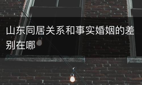 山东同居关系和事实婚姻的差别在哪