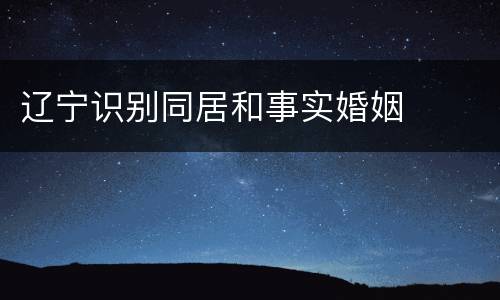 辽宁识别同居和事实婚姻