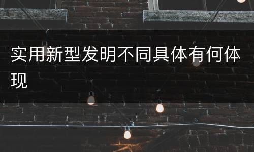 实用新型发明不同具体有何体现