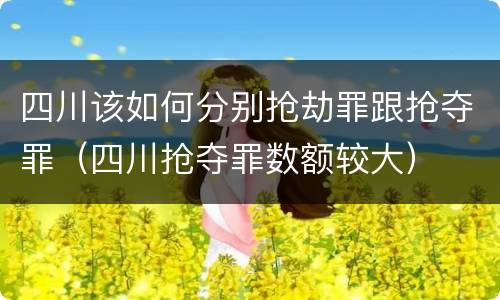 四川该如何分别抢劫罪跟抢夺罪（四川抢夺罪数额较大）