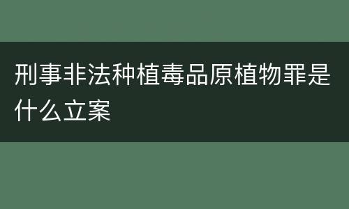 刑事非法种植毒品原植物罪是什么立案