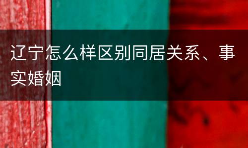 辽宁怎么样区别同居关系、事实婚姻