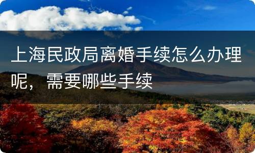 上海民政局离婚手续怎么办理呢，需要哪些手续