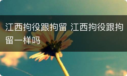 江西拘役跟拘留 江西拘役跟拘留一样吗