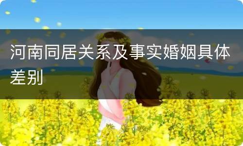 河南同居关系及事实婚姻具体差别