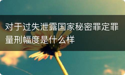 对于过失泄露国家秘密罪定罪量刑幅度是什么样
