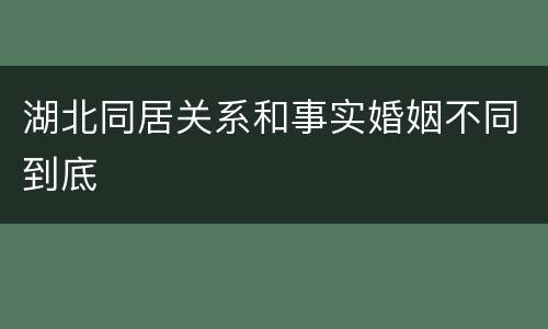 湖北同居关系和事实婚姻不同到底
