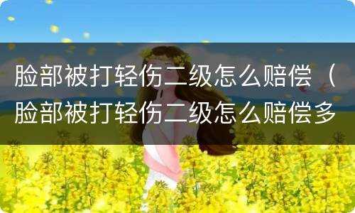 脸部被打轻伤二级怎么赔偿（脸部被打轻伤二级怎么赔偿多少）