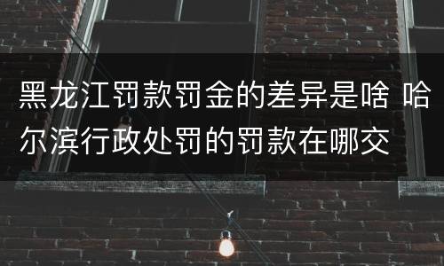 黑龙江罚款罚金的差异是啥 哈尔滨行政处罚的罚款在哪交
