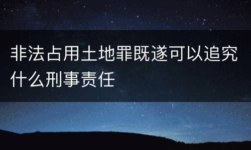 非法占用土地罪既遂可以追究什么刑事责任