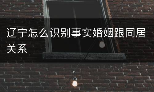 辽宁怎么识别事实婚姻跟同居关系