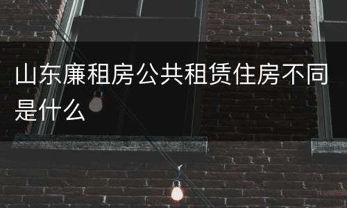山东廉租房公共租赁住房不同是什么