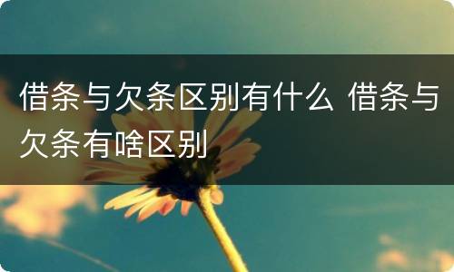 借条与欠条区别有什么 借条与欠条有啥区别